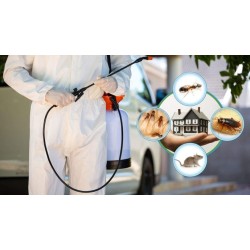 خدمات مكافحة الآفات والحشرات